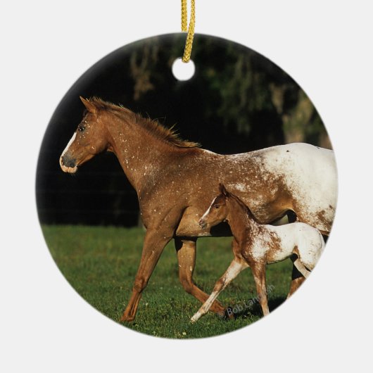 Appaloosa-mare en -slachtafvallen keramisch ornament (Voorkant)