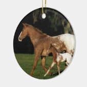 Appaloosa-mare en -slachtafvallen keramisch ornament (Links)