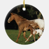 Appaloosa-mare en -slachtafvallen keramisch ornament (Achterkant)