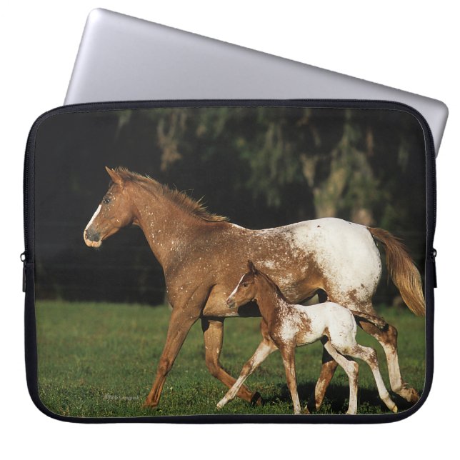 Appaloosa-mare en -slachtafvallen laptop sleeve (Voorkant)