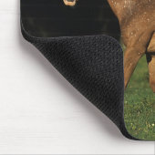 Appaloosa-mare en -slachtafvallen muismat (Hoek)