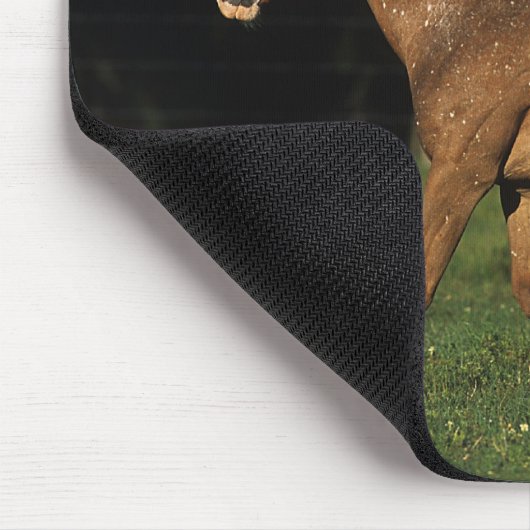 Appaloosa-mare en -slachtafvallen muismat (Hoek)