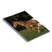 Appaloosa-mare en -slachtafvallen notitieboek (Rechterzijde)