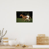 Appaloosa-mare en -slachtafvallen poster (Keuken)