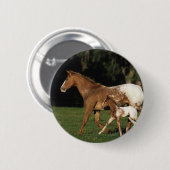 Appaloosa-mare en -slachtafvallen ronde button 5,7 cm (Voorkant /achterkant)