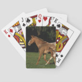 Appaloosa-mare en -slachtafvallen speelkaarten (Achterkant)