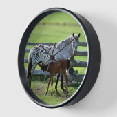Appaloosa Merrie en Veulen Paard (Hoek)