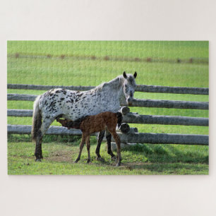 Appaloosa Merrie en Veulen Paard Legpuzzel