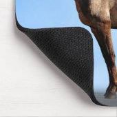 Appaloosa Muismat (Hoek)