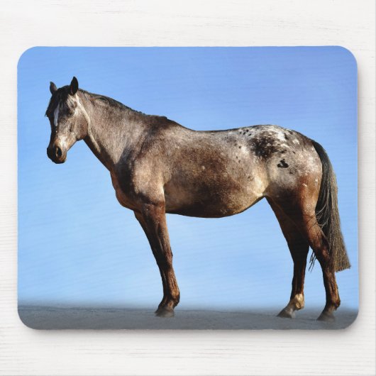Appaloosa Muismat (Voorkant)