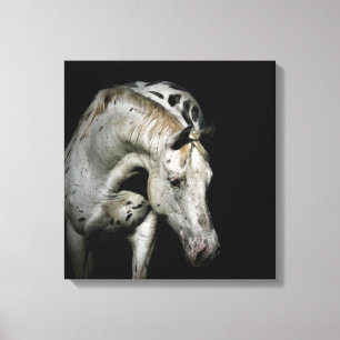Appaloosa Paard foto Canvas Afdruk