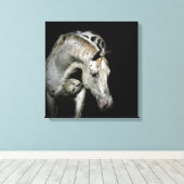 Appaloosa Paard foto Canvas Afdruk (Insitu (Houten vloer))