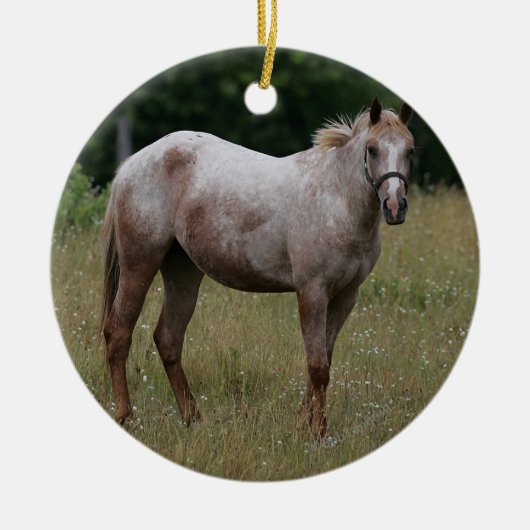 Appaloosa Paard in de gras Keramisch Ornament (Voorkant)