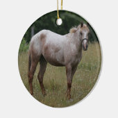 Appaloosa Paard in de gras Keramisch Ornament (Links)