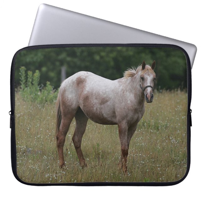 Appaloosa Paard in de gras Laptop Sleeve (Voorkant)