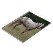 Appaloosa Paard in de gras Notitieboek (Linkerzijde)