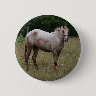 Appaloosa Paard in de gras Ronde Button 5,7 Cm