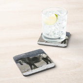 Appaloosa-paard in de sneeuw bier onderzetter (Rechterzijde)