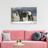 Appaloosa-paard in de sneeuw canvas afdruk (Insitu (Woonkamer))