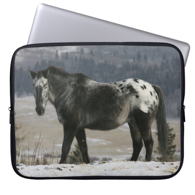 Appaloosa-paard in de sneeuw laptop sleeve (Voorkant)