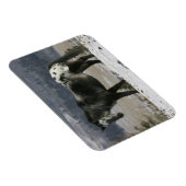 Appaloosa-paard in de sneeuw magneet (Rechterzijde)