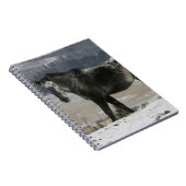 Appaloosa-paard in de sneeuw notitieboek (Rechterzijde)