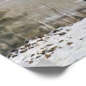 Appaloosa-paard in de sneeuw poster (Hoek)