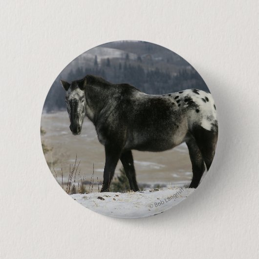 Appaloosa-paard in de sneeuw ronde button 5,7 cm (Voorkant)
