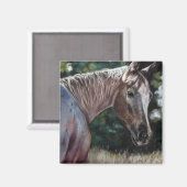 Appaloosa paard in een veld magneet (Voorkant / Achterkant)