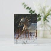 Appaloosa-paard met sneeuw briefkaart (Staand voorkant)