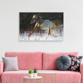 Appaloosa-paard met sneeuw canvas afdruk (Insitu (Woonkamer))