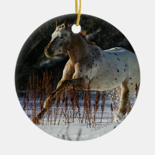 Appaloosa-paard met sneeuw keramisch ornament (Voorkant)
