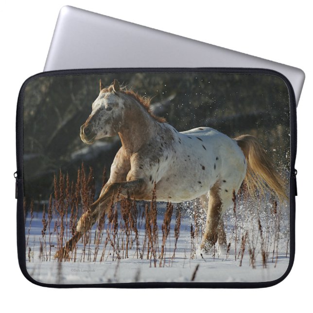 Appaloosa-paard met sneeuw laptop sleeve (Voorkant)