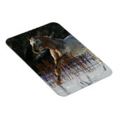 Appaloosa-paard met sneeuw magneet (Rechterzijde)