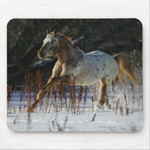 Appaloosa-paard met sneeuw muismat