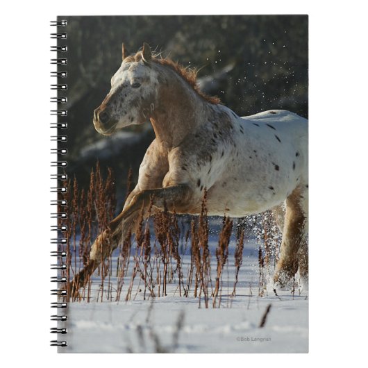 Appaloosa-paard met sneeuw notitieboek (Voorkant)