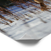 Appaloosa-paard met sneeuw poster (Hoek)