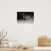 Appaloosa-paard met sneeuw poster (Keuken)