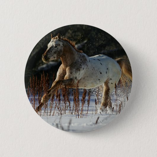 Appaloosa-paard met sneeuw ronde button 5,7 cm (Voorkant)