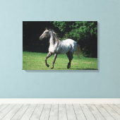 Appaloosa-paard met vlucht 2 canvas afdruk (Insitu (Houten vloer))