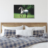 Appaloosa-paard met vlucht 2 canvas afdruk (Insitu (Slaapkamer))