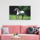 Appaloosa-paard met vlucht 2 canvas afdruk (Insitu (Woonkamer))