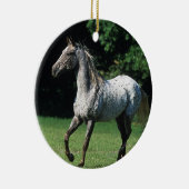 Appaloosa-paard met vlucht 2 keramisch ornament (Rechts)