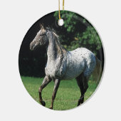 Appaloosa-paard met vlucht 2 keramisch ornament (Links)