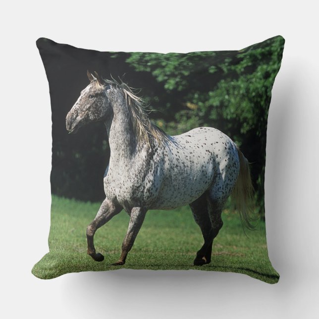 Appaloosa-paard met vlucht 2 kussen (Voorkant)