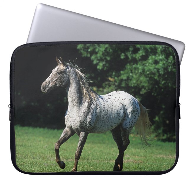 Appaloosa-paard met vlucht 2 laptop sleeve (Voorkant)