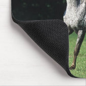 Appaloosa-paard met vlucht 2 muismat (Hoek)