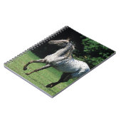 Appaloosa-paard met vlucht 2 notitieboek (Linkerzijde)