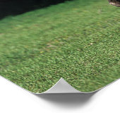 Appaloosa-paard met vlucht 2 poster (Hoek)