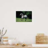 Appaloosa-paard met vlucht 2 poster (Keuken)